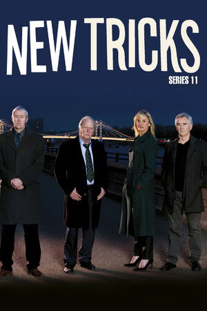 New Tricks 11. évad (2014-08-18) poszter