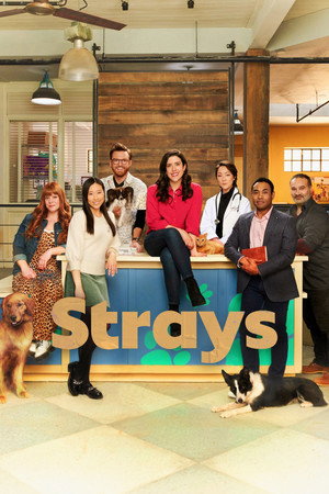 Strays poszter
