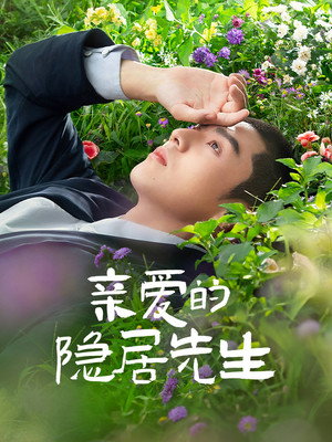亲爱的隐居先生 poszter