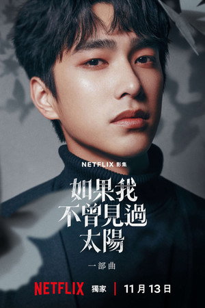如果我不曾見過太陽 poszter