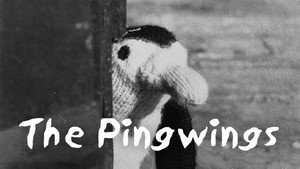 The Pingwings kép