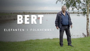 Bert Karlsson - Elefanten i folkhemmet kép