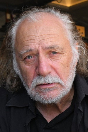 Rade Šerbedžija profil kép