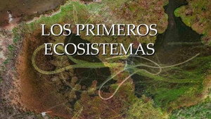 Planeta Microbio 1. évad Ep.8 8. epizód