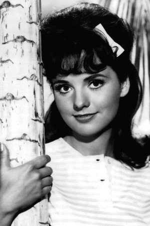 Dawn Wells profil kép