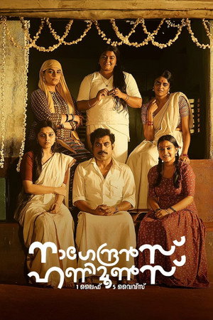 നാഗേന്ദ്രൻസ് ഹണിമൂൺസ് poszter