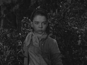 The Hardy Boys 1. évad Ep.10 10. epizód