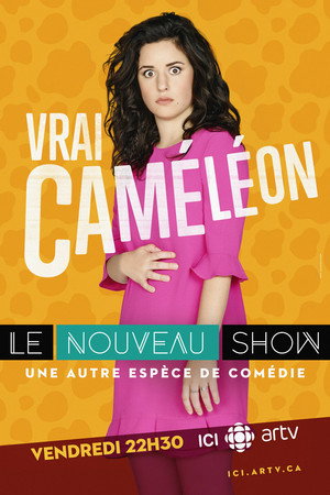 Le nouveau show poszter