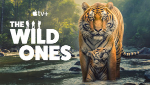 The Wild Ones kép