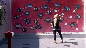 Big Brother 15. évad Ep.34 34. epizód