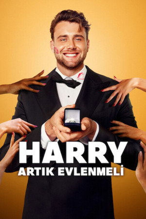 Harry feleséget keres poszter