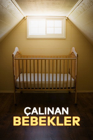Taken at Birth poszter