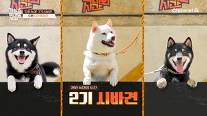 개와 늑대의 시간 1. évad Ep.5 5. epizód