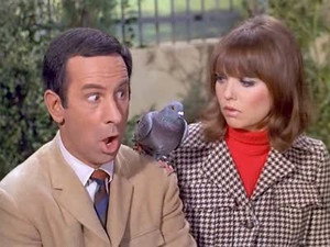 Get Smart 3. évad Ep.22 22. epizód