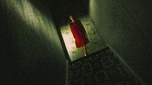 The Enfield Poltergeist kép