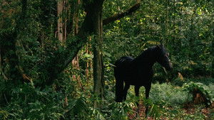 Lost - Eltűntek 2. évad Ep.9 Kate bűne