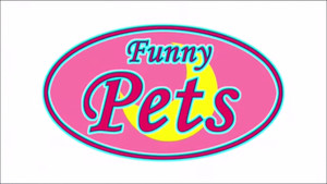 Funny Pets kép