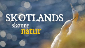 Scotland: The New Wild kép