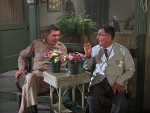 The Andy Griffith Show 7. évad Ep.12 12. epizód