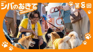 シバのおきて～われら犬バカ編集部～ 1. évad Ep.8 8. epizód