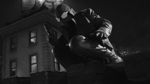 A Pók: Noir kép