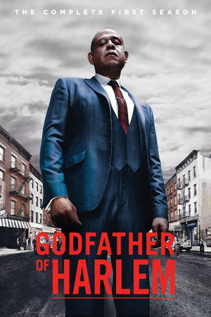 Godfather of Harlem 1. évad (2019-09-29) poszter
