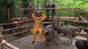 I'm a Celebrity...Get Me Out of Here! 7. évad Ep.7 7. epizód