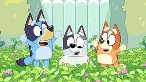 Bluey 2. évad Ep.43 Gallér