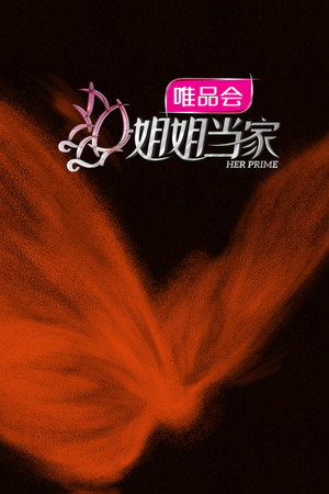 姐姐当家 poszter