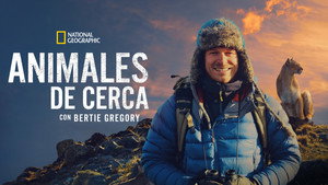 Az állatok világa Bertie Gregoryval kép