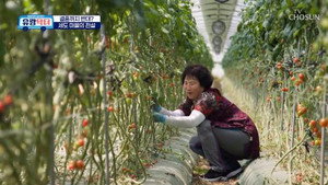 방방곡곡 낭만로드 유랑닥터 1. évad Ep.15 15. epizód
