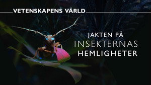 Vetenskapens värld 52. évad Ep.8 8. epizód