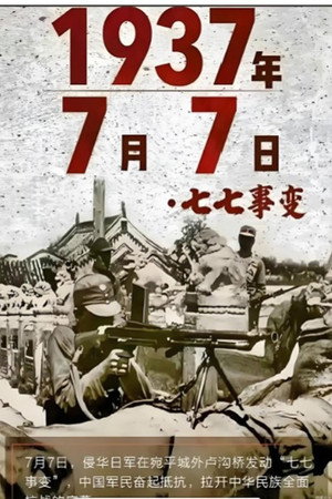 凤凰大视野 poszter