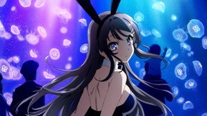 青春ブタ野郎はバニーガール先輩の夢を見ない kép