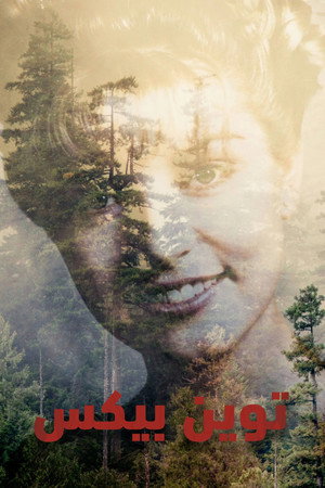 Twin Peaks poszter