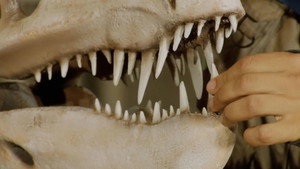 Andy's Dinosaur Adventures 1. évad Ep.18 18. epizód