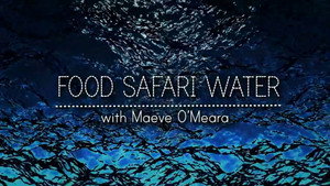 Food Safari Water kép