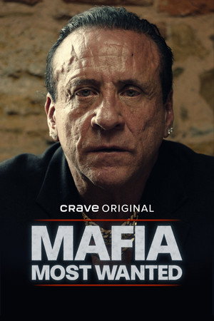 Mafia: Most Wanted 1. évad (2025-03-07) poszter