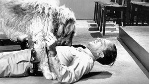 The Andy Griffith Show 5. évad Ep.6 6. epizód