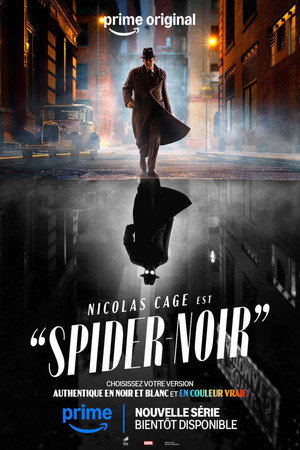 A Pók: Noir poszter