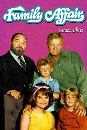 Family Affair 3. évad (1968-09-23) poszter