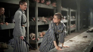 Az auschwitzi tetováló igaz története kép