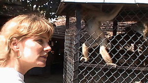 Monkey Business 8. évad Ep.6 6. epizód