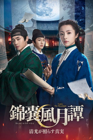 锦囊妙录 poszter