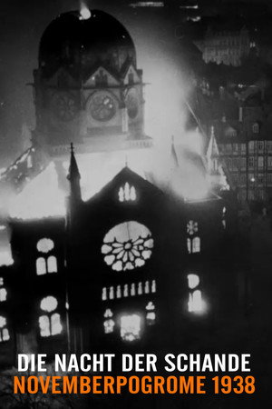 La Nuit de cristal : Les pogroms de novembre poszter