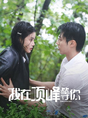 我在顶峰等你 poszter