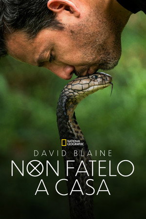 Ezt ne próbáld ki! - Halálos mutatványok David Blaine-nel poszter
