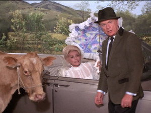 Green Acres 4. évad Ep.7 7. epizód