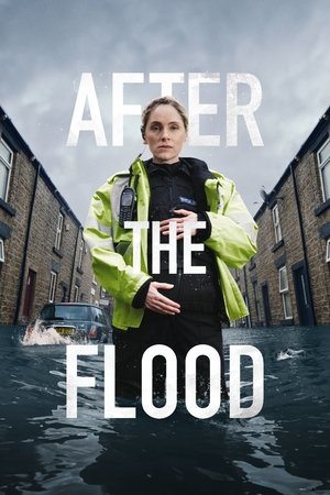 After the Flood poszter