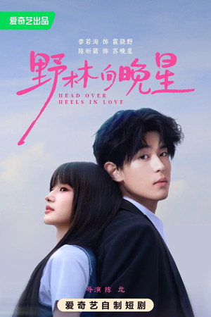 野林向晚星 poszter